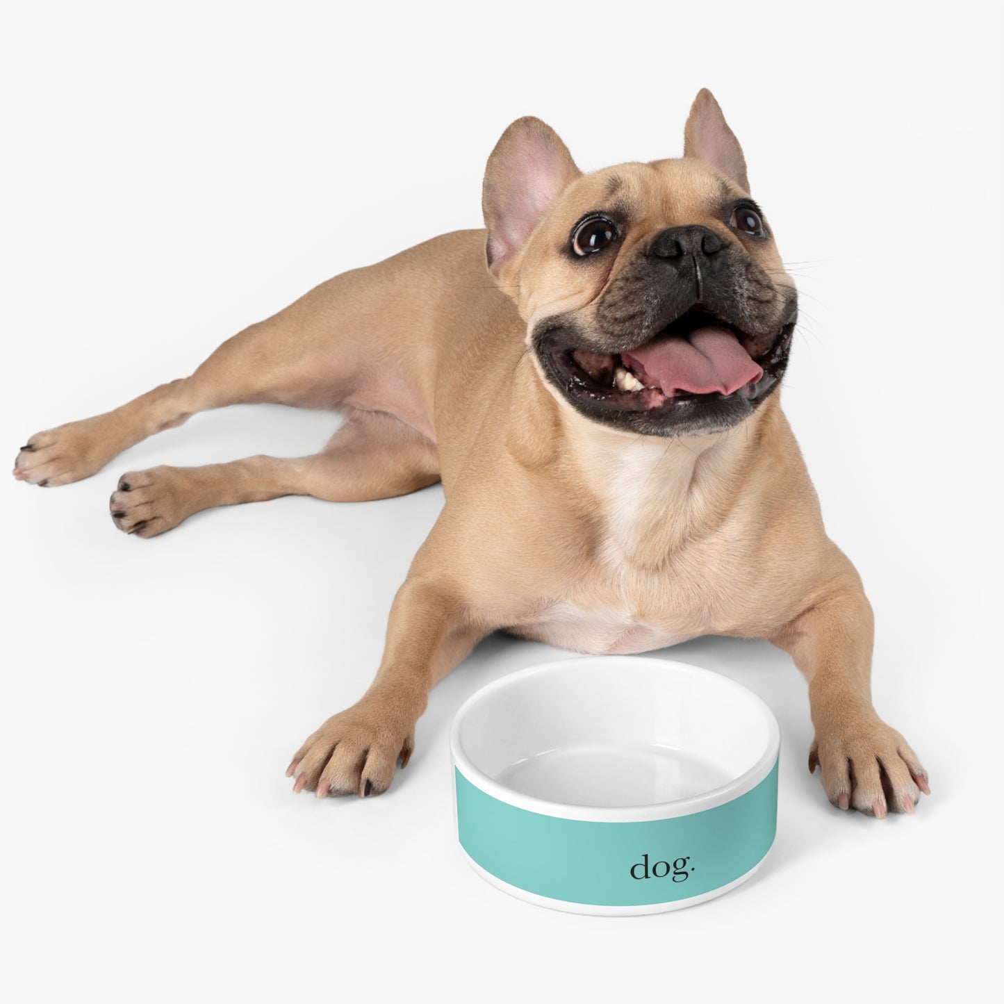 Personalized Dog Bowl - Custom Pet Bow - Blue Green Pet Bowl