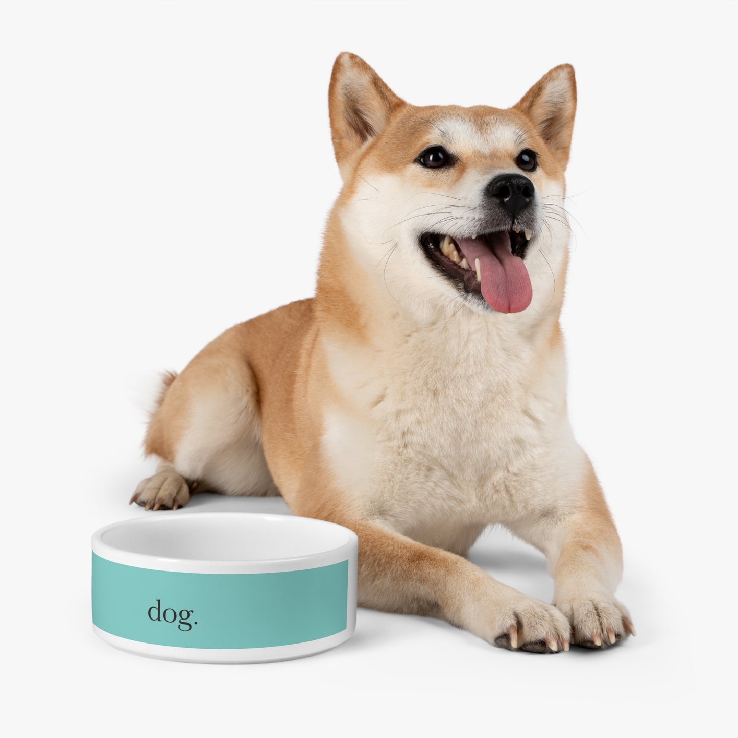Personalized Dog Bowl - Custom Pet Bow - Blue Green Pet Bowl